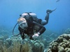 Bill from Jacksonville NC | Scuba Diver