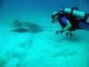 Mike from Plantation FL | Scuba Diver