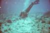 Reef from Lafayette LA | Scuba Diver