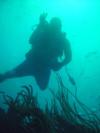 Carlos from Miami FL | Scuba Diver