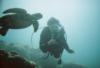 Ator from Honolulu HI | Scuba Diver