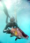 Joe from Wilmington NC | Scuba Diver