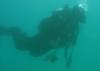 Chris from Red Bank, NJ  | Scuba Diver