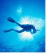 Snorkel San Diego Scuba from San Diego CA | Dive Center