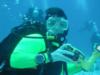 Danelle from Belleville MI | Scuba Diver