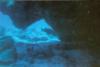 Steve from Panama City FL | Scuba Diver