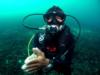 Adrin from Kuala Terengganu Terengganu | Dive Center
