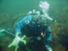 Raymond from Northbridge Massachusetts | Scuba Diver