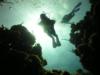 Steve from Lithia FL | Scuba Diver
