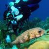 Mel from Highland CA | Scuba Diver