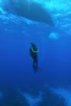 Bob from Melbourne FL | Scuba Diver