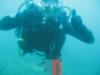 christopher from dublin  | Scuba Diver