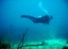 Melissa from East end of St. Croix. St. Croix | Scuba Diver