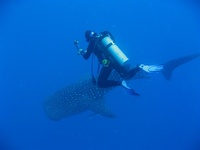 Placencia, Belize