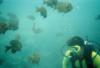 Michael from Foley AL | Scuba Diver