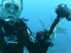 Greg from Manassas VA | Scuba Diver