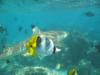 Brian from Richmond Hill Ontario | Scuba Diver