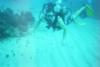 Michael from Nevada City CA | Scuba Diver