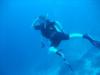 Jill Nash from Fourways Gauteng | Scuba Diver