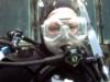 Cheryn from Seffner FL | Scuba Diver