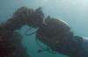 FOAD from   | Scuba Diver