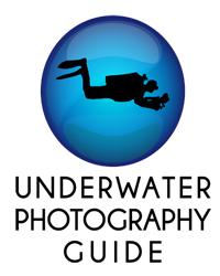 Great Resource for Underwater Photography