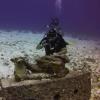 Diving Cozumel with Dive Paradise Feb. 18-28th