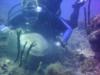 Charlie from Lehigh Acres FL | Scuba Diver