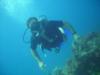 Pat from Cary IL | Scuba Diver