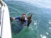 Steven from Sherwood Park Alberta | Scuba Diver