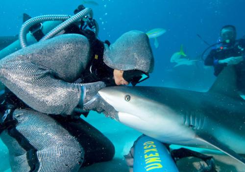 Cristina Zenato - Common Sense Shark Diving