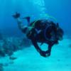 Scott from Houston TX | Scuba Diver