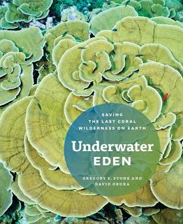 Underwater Eden: new book explores the Phoenix Island Protected Area