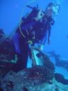 Honu from Honolulu HI | Scuba Diver