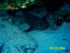 Kenan from East Troy WI | Scuba Diver