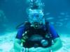 Jeff from Central City IA | Scuba Diver