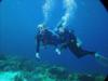 Laura from Madison WI | Scuba Diver