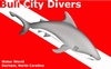 Bull City Divers located in Durham, NC 27703