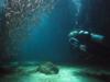 Scubadivingdivas - Online Dive Club