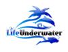 Life Underwater