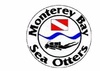 Monterey Bay Sea Otters