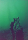 Emerald Sea Dive Club located in Edmonds, WA 98208