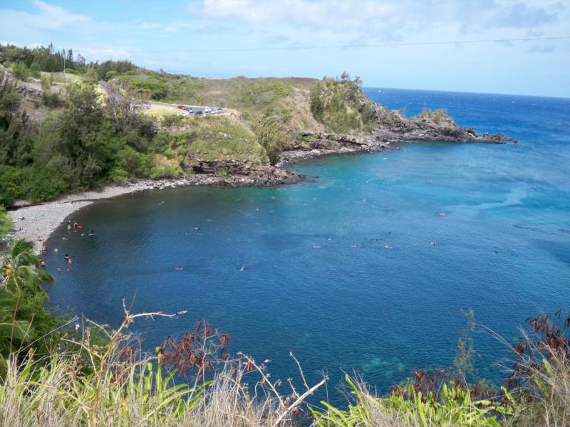 Honolua Bay - Honolua Bay