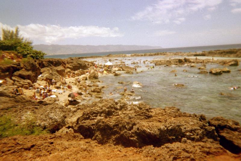 Shark’s Cove - entry, careful paths are steep and slippery