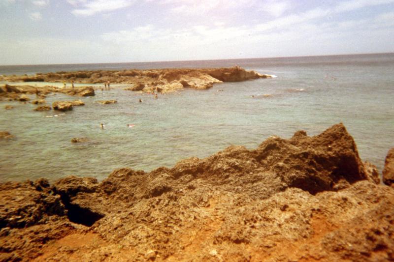 Shark’s Cove - south side of cove