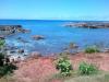 Shark’s Cove - View of Sharks Cove