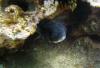 Makaha Caverns 1 - JimKoz
