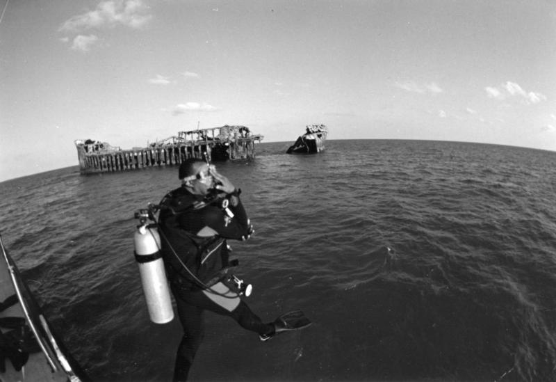 Bimini Barge -  Bimini Barge dive