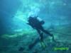 Blue Grotto Dive Resort - Lots of guide lines