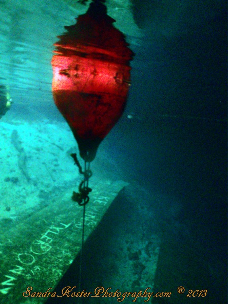 Blue Grotto Dive Resort - Buoy, looking down at the entry platform